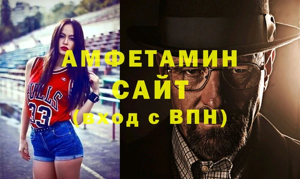 стаф Богданович